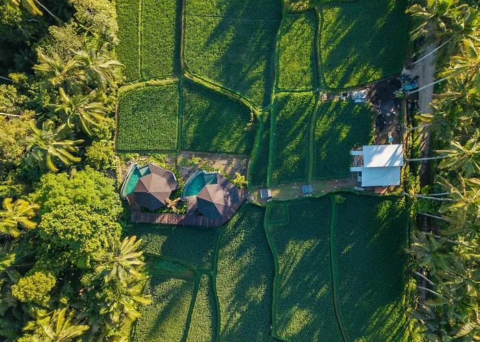 Villa Neira Ubud