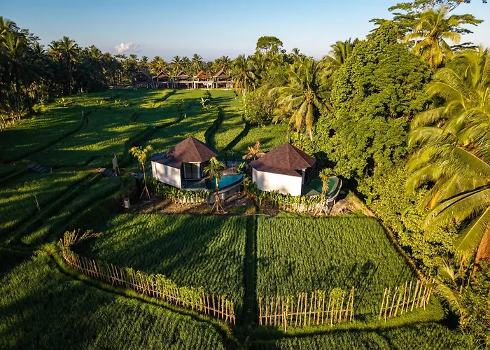 Neira Villa