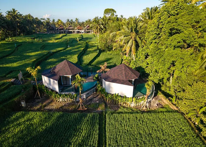 Neira Villa *